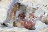 Crystal Filled Dugway Geode (Polished Half) - Utah #176751-1